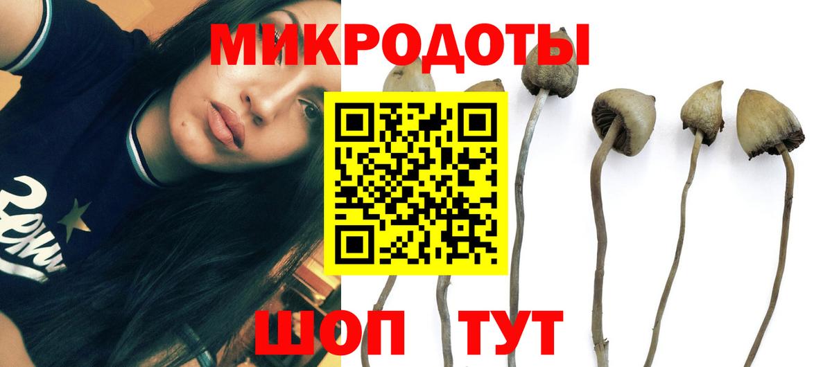 Галлюциногенные грибы мицелий Губаха