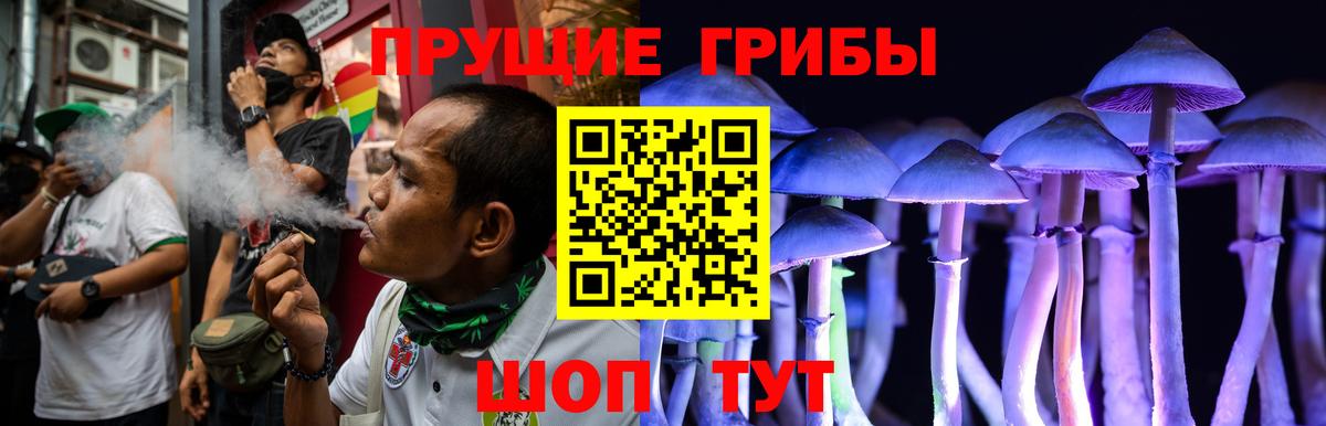 Галлюциногенные грибы Magic Shrooms  Галлюциногенные грибы GOLDEN TEACHER  Вход с VPN  Губаха 